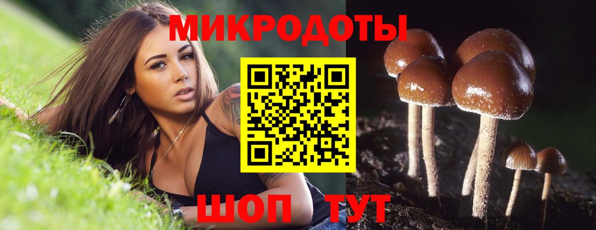 Галлюциногенные грибы ЛСД Калуга